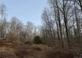 Hilltop Road, Thompson, NY, ,Land,For Rent,Hilltop,0,952258 Hilltop Road, Thompson, NY, ,Land,For Rent,Hilltop,0,952258