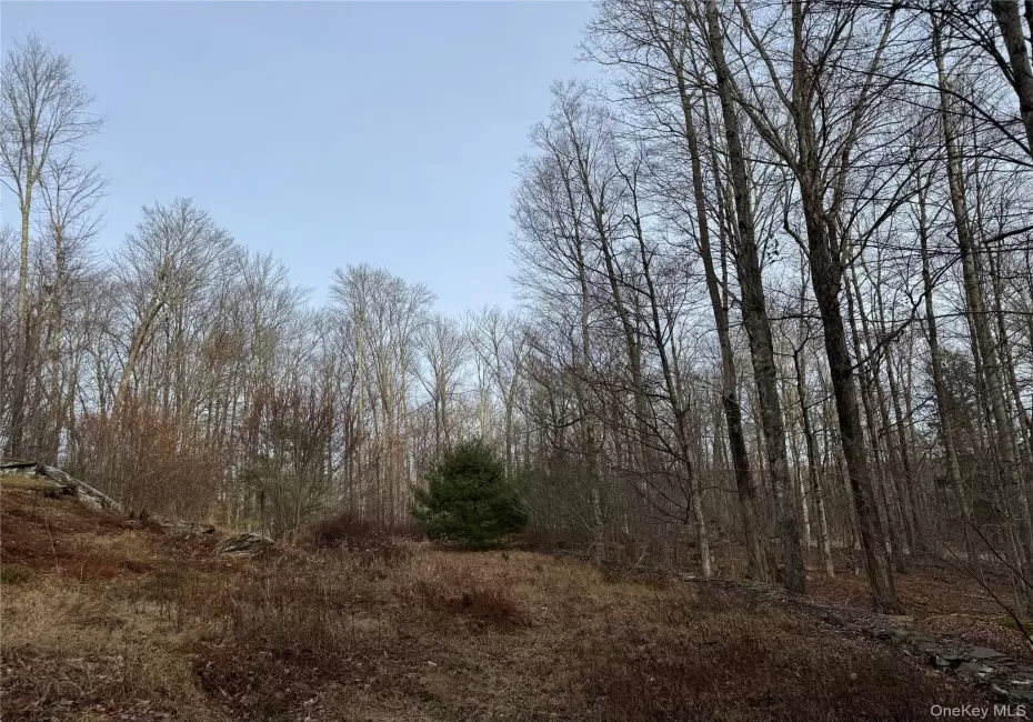 Hilltop Road, Thompson, NY, ,Land,For Rent,Hilltop,0,952258 Hilltop Road, Thompson, NY, ,Land,For Rent,Hilltop,0,952258