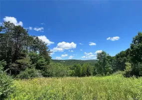 Lower Pond Dahlia Road, Liberty, NY, ,Land,For Rent,Dahlia,0,1024192 Lower Pond Dahlia Road, Liberty, NY, ,Land,For Rent,Dahlia,0,1024192