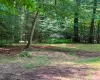 143 Mountaindale Road, Wawarsing, NY, ,Land,For Rent,Mountaindale,0,1024515 143 Mountaindale Road, Wawarsing, NY, ,Land,For Rent,Mountaindale,0,1024515