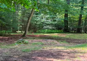 143 Mountaindale Road, Wawarsing, NY, ,Land,For Rent,Mountaindale,0,1024515 143 Mountaindale Road, Wawarsing, NY, ,Land,For Rent,Mountaindale,0,1024515