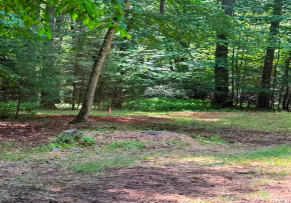 143 Mountaindale Road, Wawarsing, NY, ,Land,For Rent,Mountaindale,0,1024515 143 Mountaindale Road, Wawarsing, NY, ,Land,For Rent,Mountaindale,0,1024515