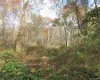 3766 Foothill Street, Yorktown, NY, ,Land,For Rent,Foothill,0,1024727 3766 Foothill Street, Yorktown, NY, ,Land,For Rent,Foothill,0,1024727