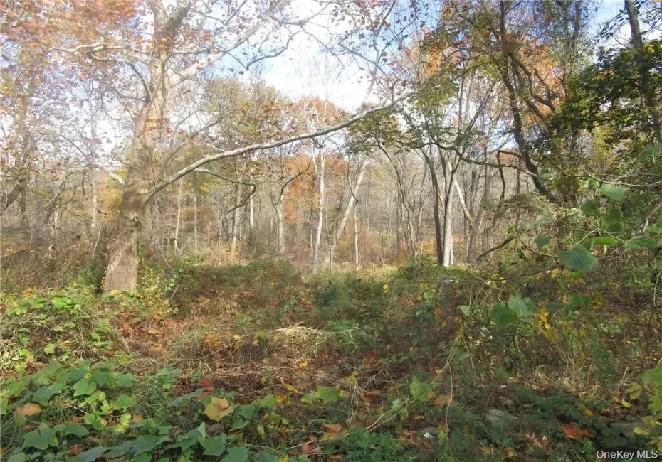 3766 Foothill Street, Yorktown, NY, ,Land,For Rent,Foothill,0,1024727 3766 Foothill Street, Yorktown, NY, ,Land,For Rent,Foothill,0,1024727
