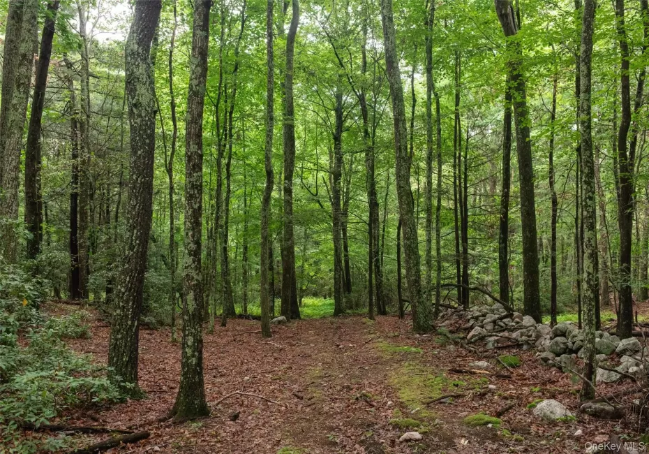 3789 State Route 52, Shawangunk, NY, 3 Bedrooms Bedrooms, 7 Rooms Rooms,1 BathroomBathrooms,Residential,For Rent,State Route 52,0,1025346 3789 State Route 52, Shawangunk, NY, 3 Bedrooms Bedrooms, 7 Rooms Rooms,1 BathroomBathrooms,Residential,For Rent,State Route 52,0,1025346