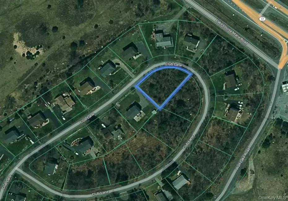 Club Lane, Thompson, NY, ,Land,For Rent,Club,0,1025579 Club Lane, Thompson, NY, ,Land,For Rent,Club,0,1025579