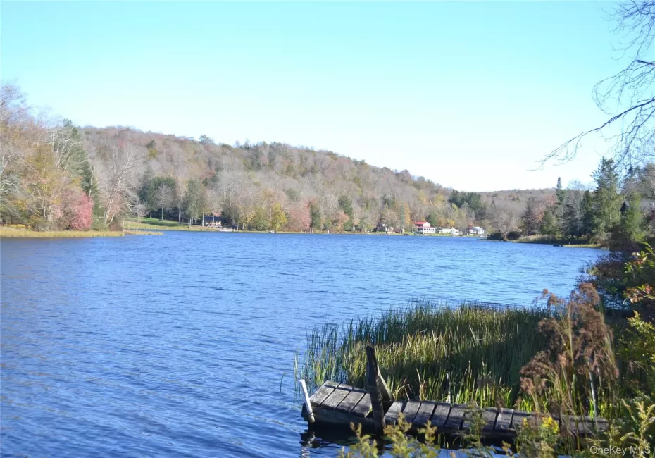 Water view with a forest and a dock Water view with a forest and a dock