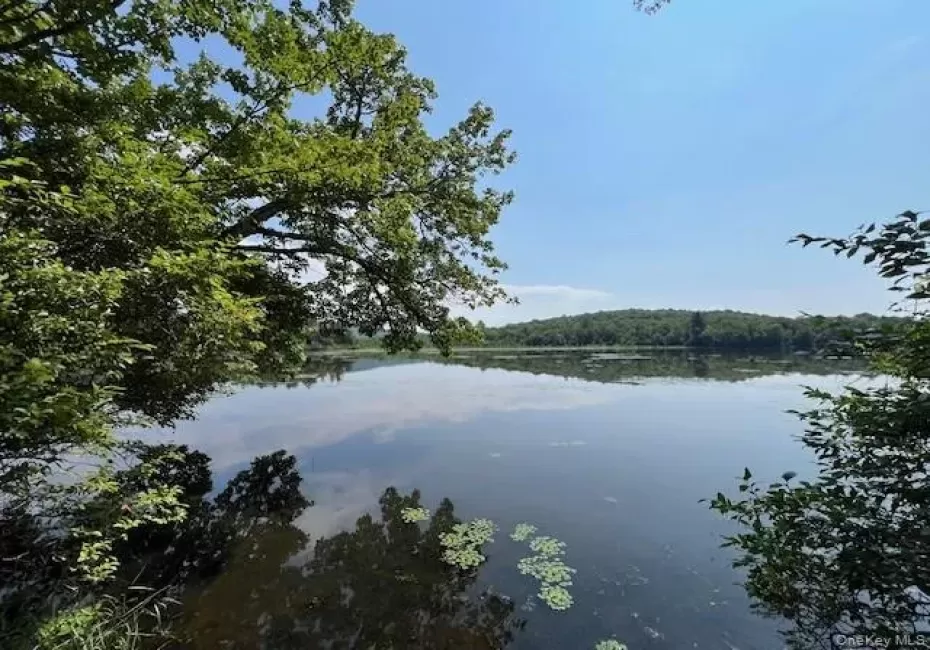 Lot 68 Shore Road, Liberty, NY, ,Land,For Rent,Shore,0,919099 Lot 68 Shore Road, Liberty, NY, ,Land,For Rent,Shore,0,919099