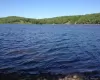 Water view with a forest Water view with a forest