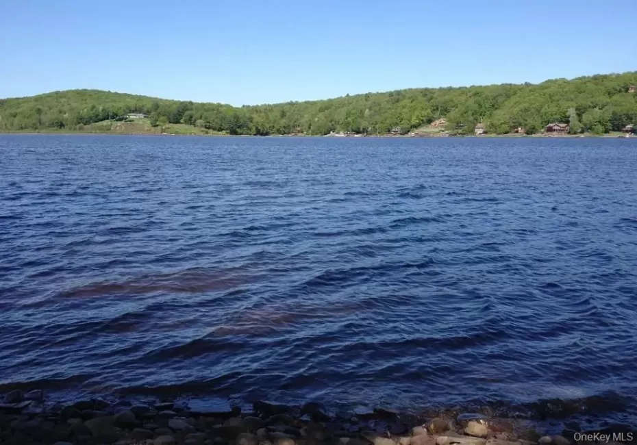 Water view with a forest Water view with a forest