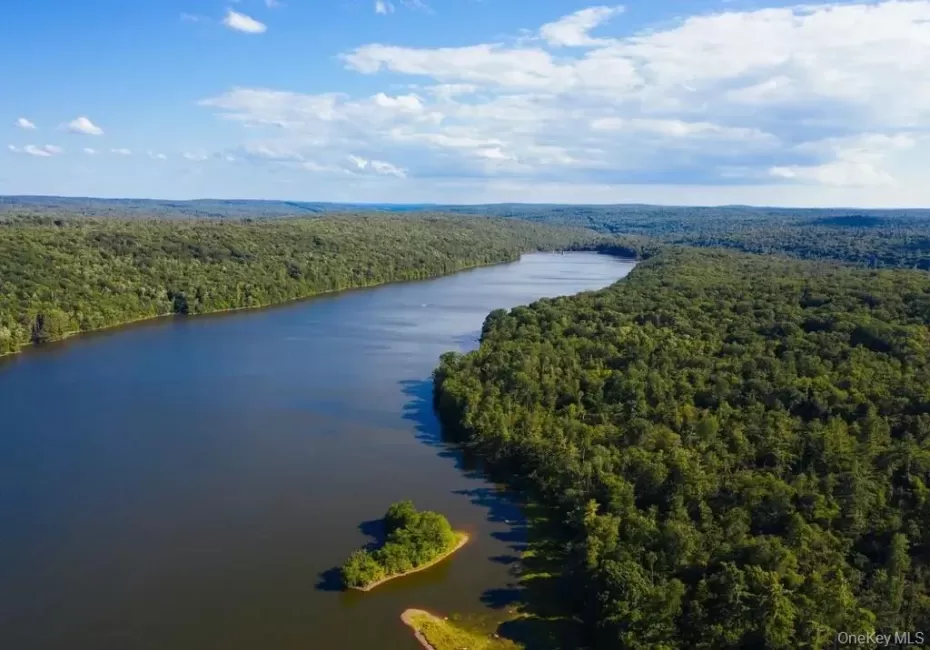 Aerial view of a heavily wooded area and a nearby body of water Aerial view of a heavily wooded area and a nearby body of water
