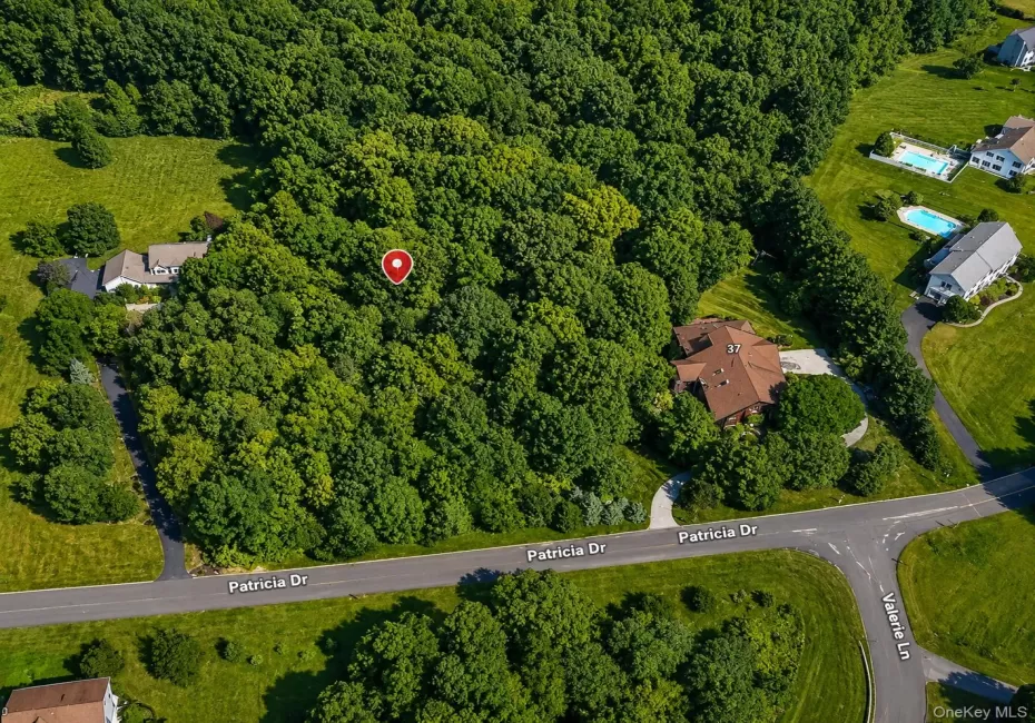 Patricia Drive, Pleasant Valley, NY, ,Land,For Rent,Patricia,0,1025644 Patricia Drive, Pleasant Valley, NY, ,Land,For Rent,Patricia,0,1025644