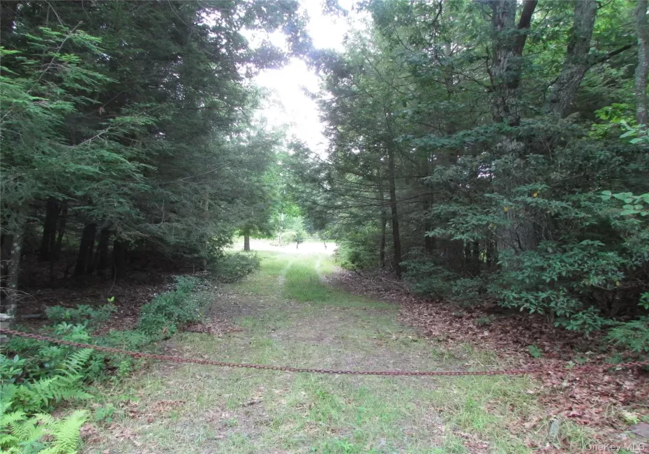 Entrance to driveway Entrance to driveway