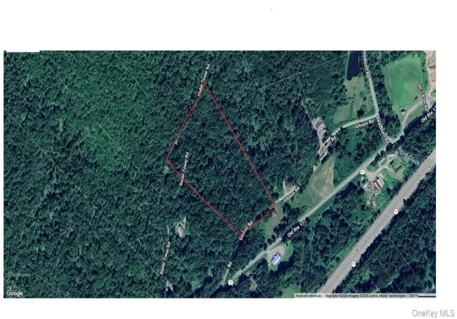 00 Gibson Road, Hancock, NY, ,Land,For Rent,Gibson,0,1028328 00 Gibson Road, Hancock, NY, ,Land,For Rent,Gibson,0,1028328