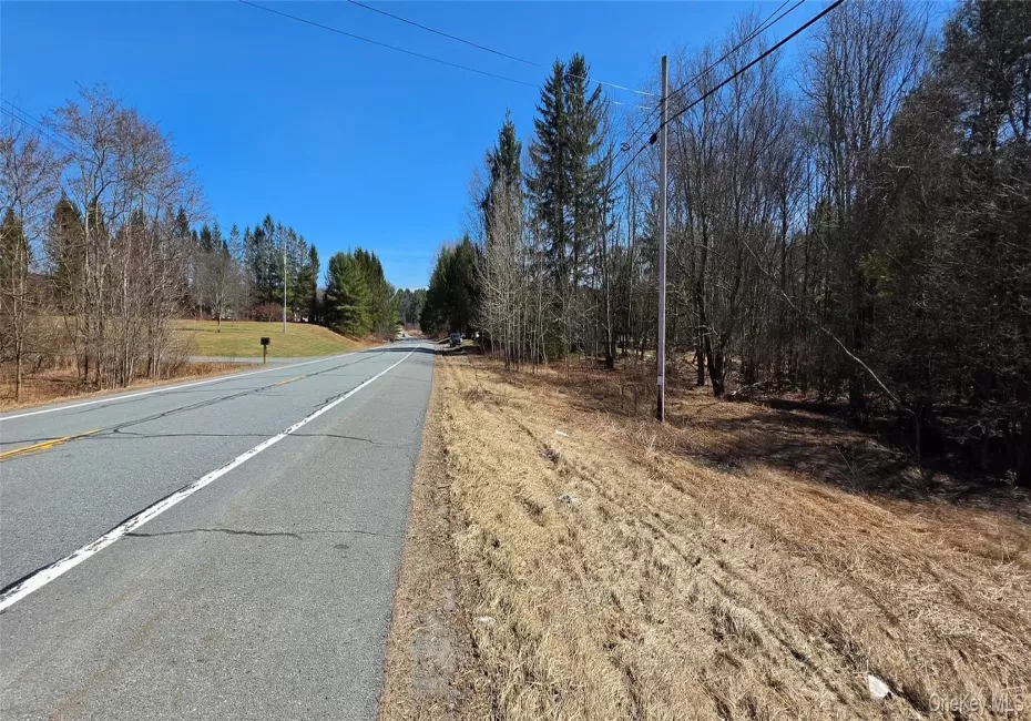 Lot 18.12 Rt. 17B, Bethel, NY, ,Land,For Rent,Rt. 17B,0,976563 Lot 18.12 Rt. 17B, Bethel, NY, ,Land,For Rent,Rt. 17B,0,976563