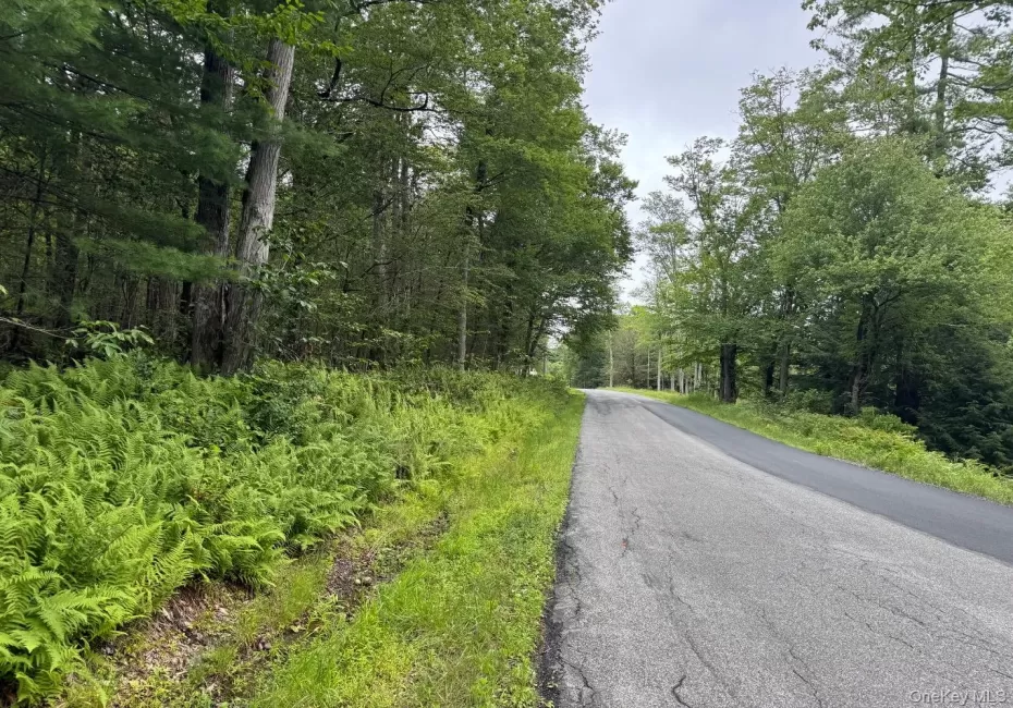 00 Starlight Road, Thompson, NY, ,Land,For Rent,Starlight,0,953999 00 Starlight Road, Thompson, NY, ,Land,For Rent,Starlight,0,953999