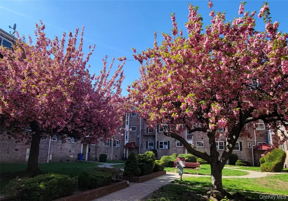 65-30 Grand Central Parkway, New York, NY, 2 Bedrooms Bedrooms, 5 Rooms Rooms,1 BathroomBathrooms,Residential,For Rent,Grand Central Parkway,0,1028755 65-30 Grand Central Parkway, New York, NY, 2 Bedrooms Bedrooms, 5 Rooms Rooms,1 BathroomBathrooms,Residential,For Rent,Grand Central Parkway,0,1028755