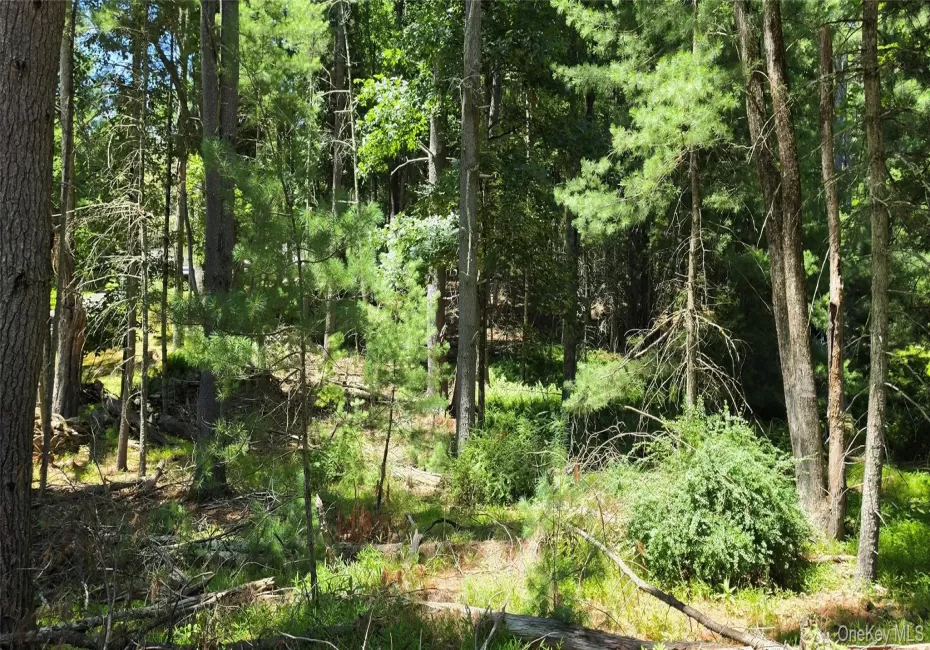Lot # 7 Irishtown Road, Tusten, NY, ,Land,For Rent,Irishtown,0,1028716 Lot # 7 Irishtown Road, Tusten, NY, ,Land,For Rent,Irishtown,0,1028716