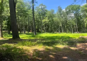 Geba Drive, Lumberland, NY, ,Land,For Rent,Geba,0,1026541 Geba Drive, Lumberland, NY, ,Land,For Rent,Geba,0,1026541