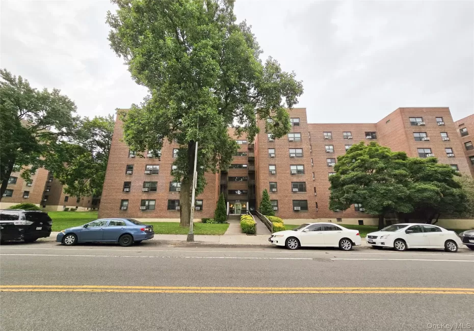 211-10 73rd Avenue, New York, NY, 1 Bedroom Bedrooms, 3 Rooms Rooms,1 BathroomBathrooms,Residential,For Rent,73rd,0,1029715 211-10 73rd Avenue, New York, NY, 1 Bedroom Bedrooms, 3 Rooms Rooms,1 BathroomBathrooms,Residential,For Rent,73rd,0,1029715
