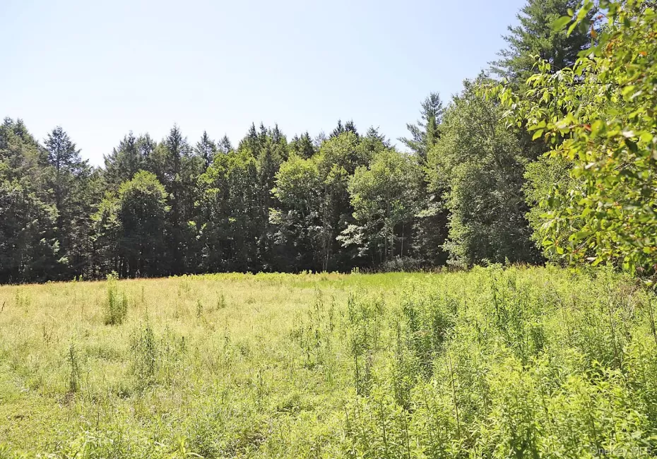 Lot 4A Hurd Road, Bethel, NY, ,Land,For Rent,Hurd,0,1024455 Lot 4A Hurd Road, Bethel, NY, ,Land,For Rent,Hurd,0,1024455
