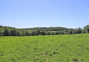 Lot 4B Hurd Road, Bethel, NY, ,Land,For Rent,Hurd,0,1024661 Lot 4B Hurd Road, Bethel, NY, ,Land,For Rent,Hurd,0,1024661