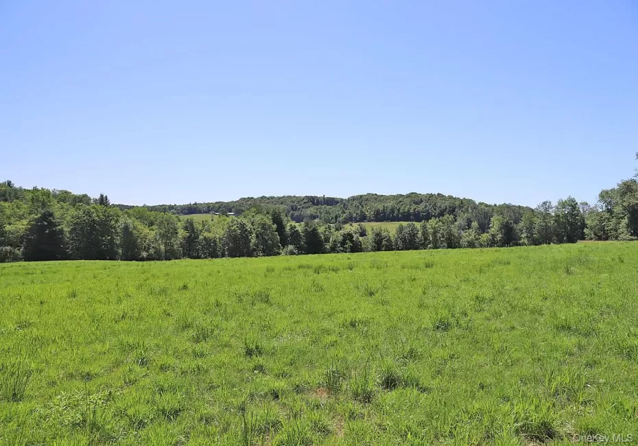 Lot 4B Hurd Road, Bethel, NY, ,Land,For Rent,Hurd,0,1024661 Lot 4B Hurd Road, Bethel, NY, ,Land,For Rent,Hurd,0,1024661