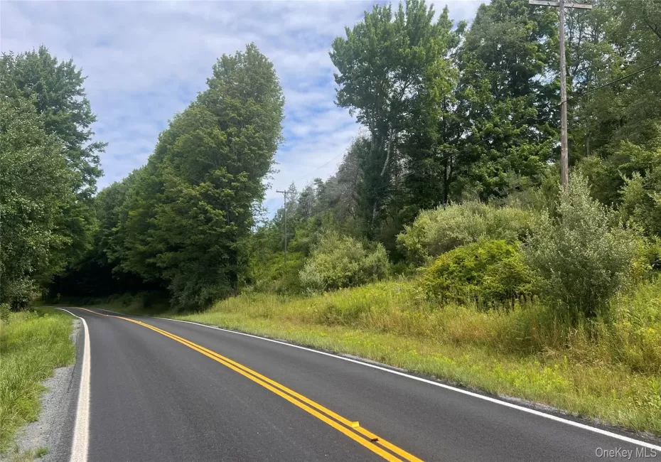 Horseshoe Lake Road, Bethel, NY, ,Land,For Rent,Horseshoe Lake,0,1030590 Horseshoe Lake Road, Bethel, NY, ,Land,For Rent,Horseshoe Lake,0,1030590