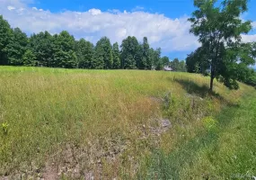 w/s Divine Corners Road, Fallsburg, NY, ,Land,For Rent,w/s Divine Corners Road,0,1024843 w/s Divine Corners Road, Fallsburg, NY, ,Land,For Rent,w/s Divine Corners Road,0,1024843