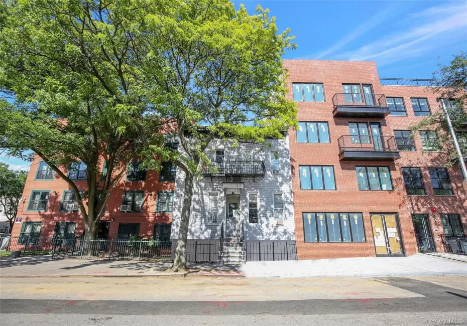 221 Howard Avenue, New York, NY, 3 Bedrooms Bedrooms, 7 Rooms Rooms,2 BathroomsBathrooms,Residential Lease,For Rent,Howard,0,1032090 221 Howard Avenue, New York, NY, 3 Bedrooms Bedrooms, 7 Rooms Rooms,2 BathroomsBathrooms,Residential Lease,For Rent,Howard,0,1032090