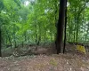 43 River Road, Clarkstown, NY, ,Land,For Rent,River,0,1032944 43 River Road, Clarkstown, NY, ,Land,For Rent,River,0,1032944