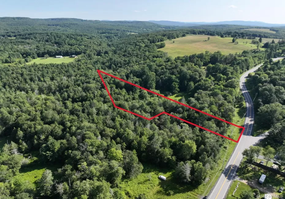 LOT 3 Neversink Road, Liberty, NY, ,Land,For Rent,Neversink,0,1033274 LOT 3 Neversink Road, Liberty, NY, ,Land,For Rent,Neversink,0,1033274