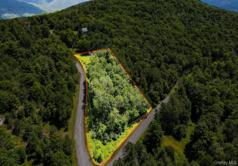 00 Red Hill Knolls Road, Denning, NY, ,Land,For Rent,Red Hill Knolls,0,1032151 00 Red Hill Knolls Road, Denning, NY, ,Land,For Rent,Red Hill Knolls,0,1032151