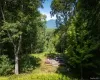 327 Phillips Road, Saugerties, NY, ,Land,For Rent,Phillips,0,899946 327 Phillips Road, Saugerties, NY, ,Land,For Rent,Phillips,0,899946