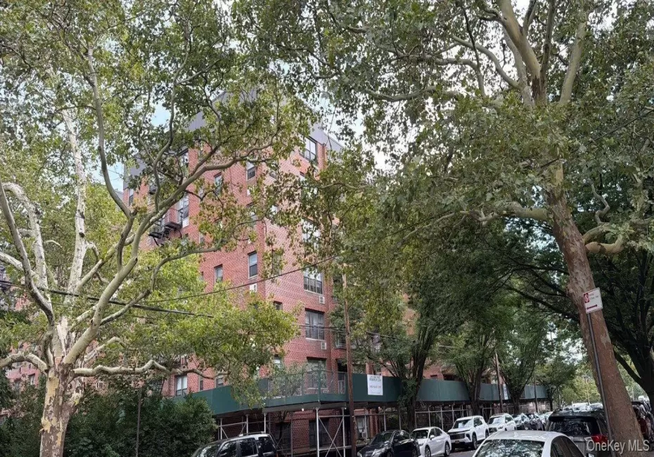 1199 53rd Street, New York, NY, 2 Bedrooms Bedrooms, 4 Rooms Rooms,1 BathroomBathrooms,Residential,For Rent,53rd,0,1033940 1199 53rd Street, New York, NY, 2 Bedrooms Bedrooms, 4 Rooms Rooms,1 BathroomBathrooms,Residential,For Rent,53rd,0,1033940