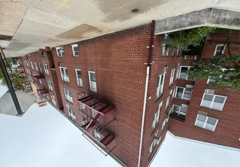 134-05 Dahlia Avenue, New York, NY, 2 Bedrooms Bedrooms, 5 Rooms Rooms,2 BathroomsBathrooms,Residential,For Rent,Dahlia,0,1033936 134-05 Dahlia Avenue, New York, NY, 2 Bedrooms Bedrooms, 5 Rooms Rooms,2 BathroomsBathrooms,Residential,For Rent,Dahlia,0,1033936