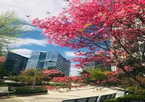13103 40th Road, New York, NY, 1 Bedroom Bedrooms, 3 Rooms Rooms,1 BathroomBathrooms,Residential,For Rent,40th,0,1034104 13103 40th Road, New York, NY, 1 Bedroom Bedrooms, 3 Rooms Rooms,1 BathroomBathrooms,Residential,For Rent,40th,0,1034104