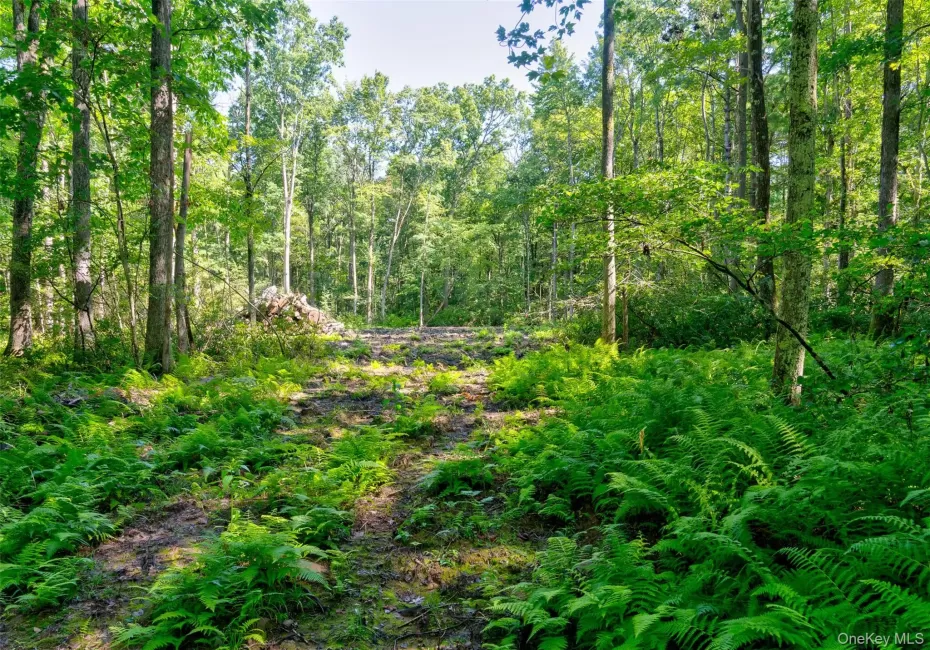 Lot 22 Perry Pond Road, Tusten, NY, ,Land,For Rent,Perry Pond,0,1032901 Lot 22 Perry Pond Road, Tusten, NY, ,Land,For Rent,Perry Pond,0,1032901
