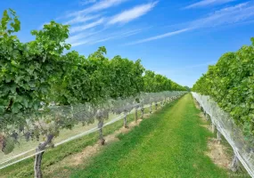 44075 Route 25, Southold, NY, ,Land,For Rent,Route 25,0,896328 44075 Route 25, Southold, NY, ,Land,For Rent,Route 25,0,896328