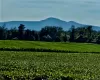 Endless Catskill Views Endless Catskill Views