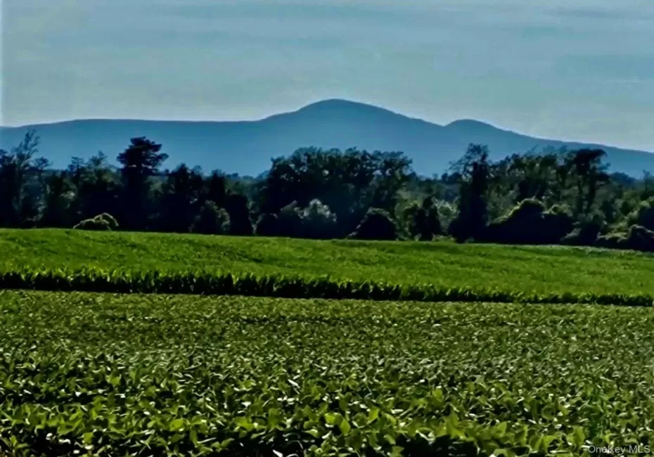 Endless Catskill Views Endless Catskill Views